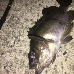 あられに打たれながら…