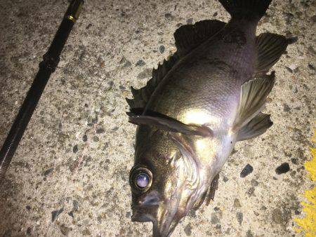 あられに打たれながら…