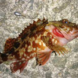 風のある日は風裏ポイントで。