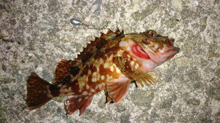 風のある日は風裏ポイントで。