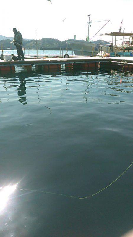 中紀、海上釣り堀湯浅にて初釣り