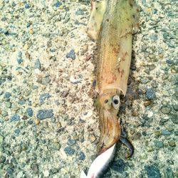 春一番で、やっと釣れた