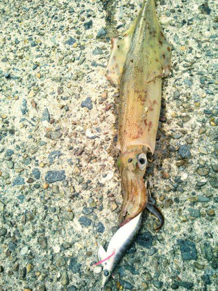 春一番で、やっと釣れた