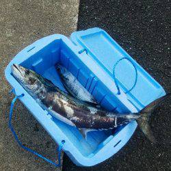 初オフショアジギング