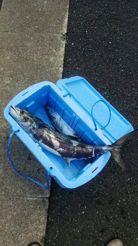 初オフショアジギング