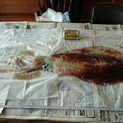 レッドモンスター