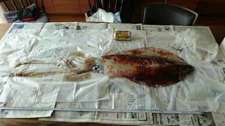 レッドモンスター