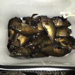 寒い夜でも釣果は激アツ