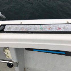 鯛サビキ  小豆島  Fisherman Dreams　DI