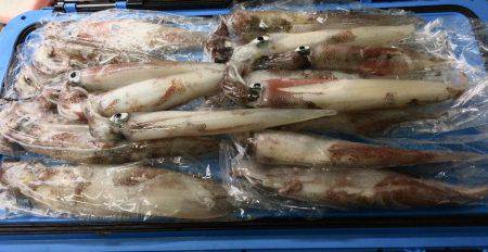 五目&ヤリイカのリレー便