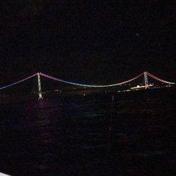 メバル  夜釣り  リタックル