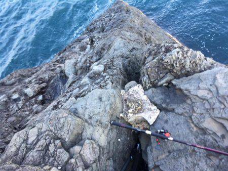 音海沖磯釣果！