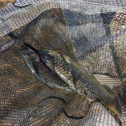 裾野フィッシングパーク