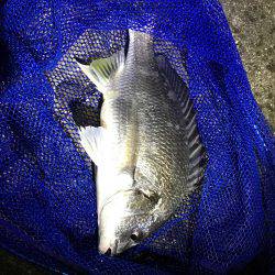 某水路にてライトゲーム