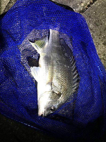 某水路にてライトゲーム