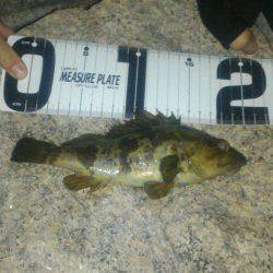 久々ライトゲーム