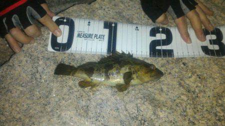 久々ライトゲーム