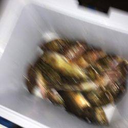 よーつれますよ〜