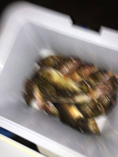 よーつれますよ〜