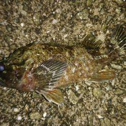 常夜灯周辺で。