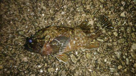 常夜灯周辺で。