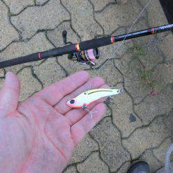 年無しに一歩及ばず。