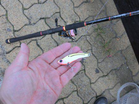 年無しに一歩及ばず。