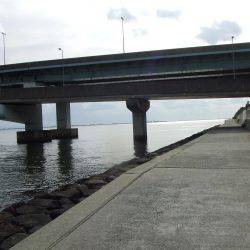 ステッピングでキビレ