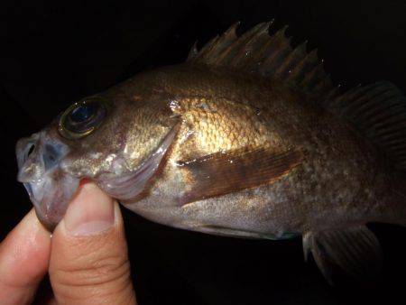 場所移動が正解