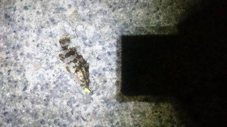 風にも負けず！