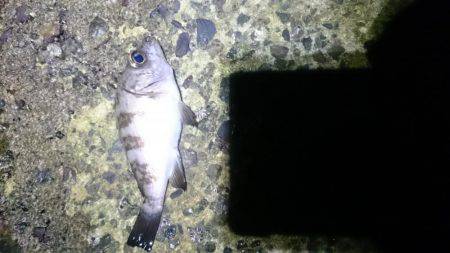 またしても強風。