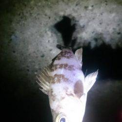 折角、風がないのに！