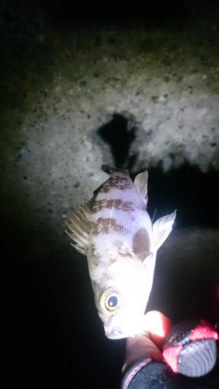 折角、風がないのに！