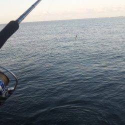 ショアジギング釣行