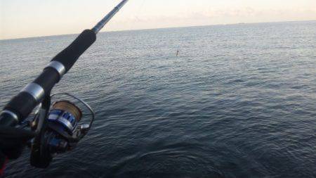 ショアジギング釣行