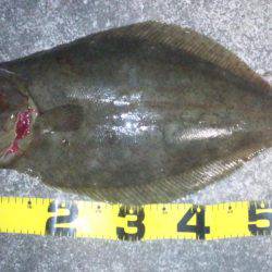 初めて釣りました!!