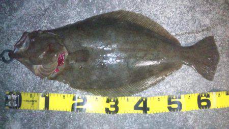 初めて釣りました!!