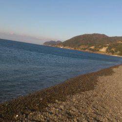 ショアジギング