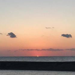 今日はセイゴ遊び！