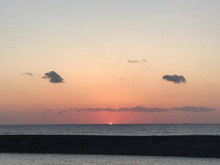 今日はセイゴ遊び！