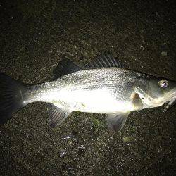 ん〜サイズダウン…