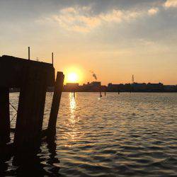 デイ&ナイトチニング