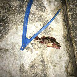 最大の敵は寒さだよ