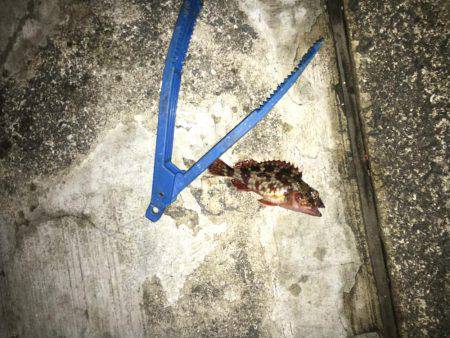 最大の敵は寒さだよ