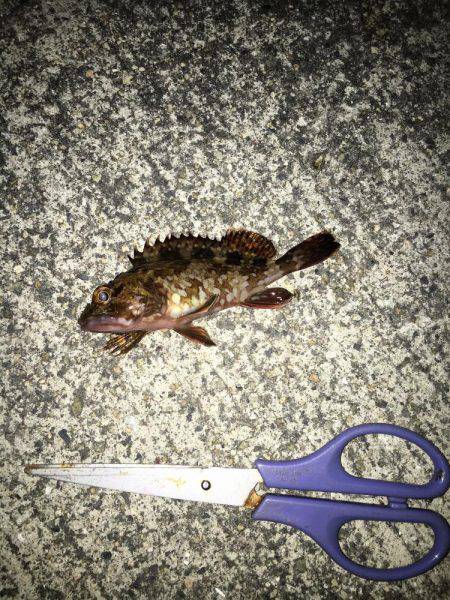 メバリング修行