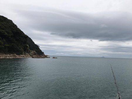 サイズが小さくなってきたかな？