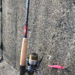 初めて釣れました