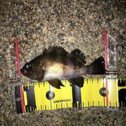 やっぱり、寒いです。