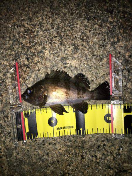 やっぱり、寒いです。