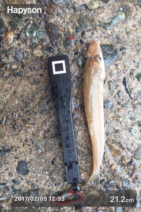 雨の中で投げ釣り